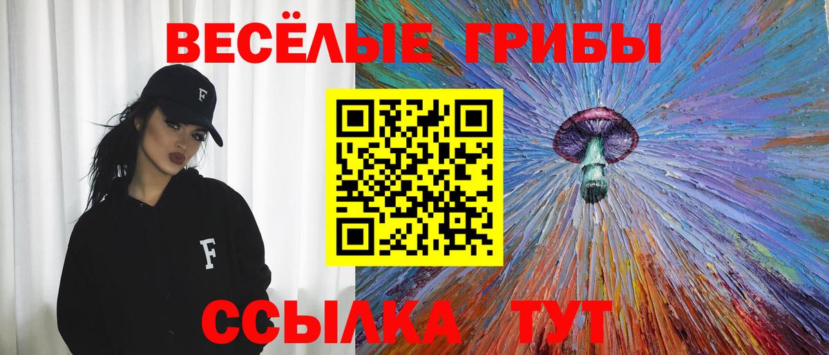 Псилоцибиновые грибы прущие грибы  Вход с VPN  Коммунар 